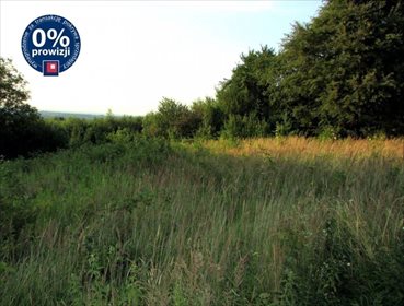 działka na sprzedaż 11387m2 działka Handzlówka, Handzlówka, Handzlówka