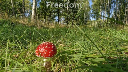 działka na sprzedaż 3957m2 działka Rydzewo, Niegocińska