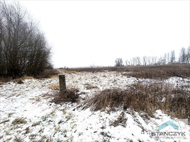 Do sprzedania działka rolna 7700 m² blisko Wolina i Zalewu Kamieńskiego działka Wolin