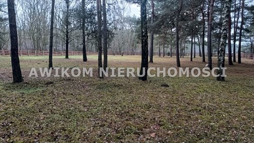 Działka 4000 m² w Puszczy Mariańskiej - las, media, plan zabudowy działka Puszcza Mariańska