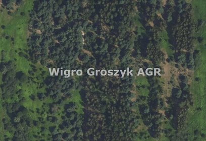 działka na sprzedaż 1232m2 działka Wojcieszyn