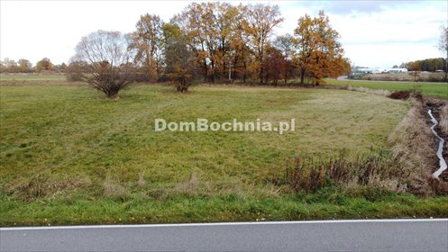 działka na sprzedaż 3800m2 działka Borek