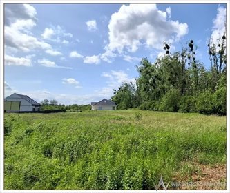 działka na sprzedaż 2433m2 działka Krzeptów