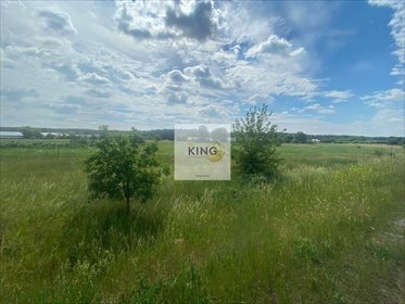 działka na sprzedaż 5198m2 działka Gryfino