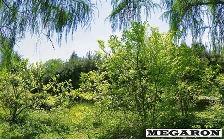 Zapraszam do zakupu działki 920 m² w Grabówce Częstochowa działka Częstochowa, Grabówka