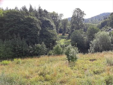 Działka budowlana z widokiem na góry w Wałbrzychu - polecam! działka Wałbrzych, Podgórze