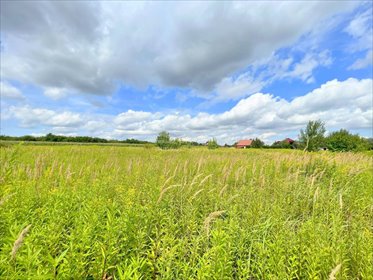 działka na sprzedaż 13026m2 działka Bielawa, Zawilcowa