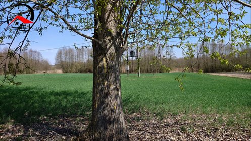 działka na sprzedaż Kozjaty 8000 m2