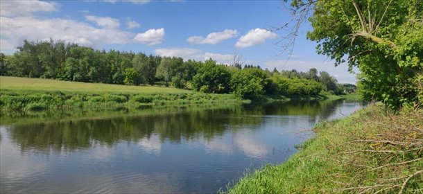 Działka nad Narwią w Bronowie – wyjątkowa przestrzeń działka Bronowo