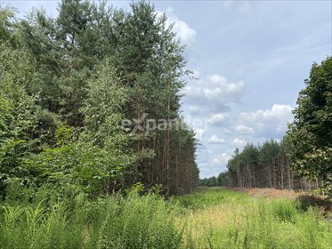 działka na sprzedaż 1000m2 działka Napoleon