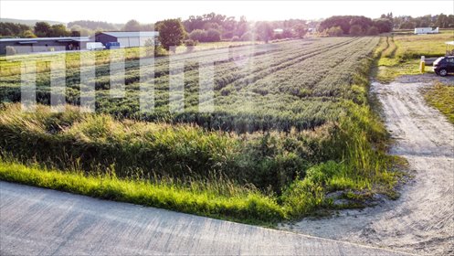 działka na sprzedaż 3300m2 działka Lutoryż