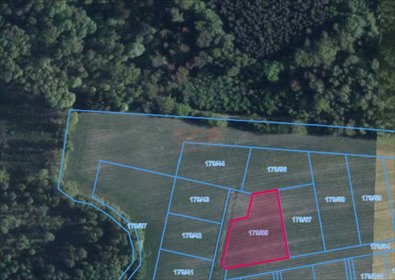 działka na sprzedaż 2311m2 działka Ławica