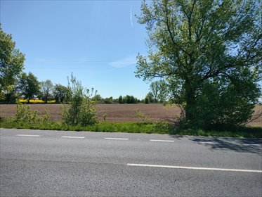 działka na sprzedaż 36500m2 działka Poniatowice