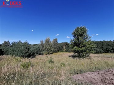Działka 5000 m² w Nowej Wsi (blisko Serocka) działka Nowa Wieś