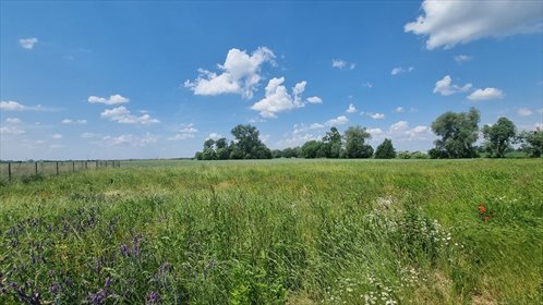 działka na sprzedaż 620m2 działka Radzanowo