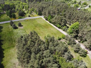 Działka rekreacyjna na sprzedaż Nowy Janów 3 818m2 Foto 3