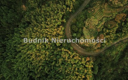 działka na sprzedaż 28000m2 działka Słojniki