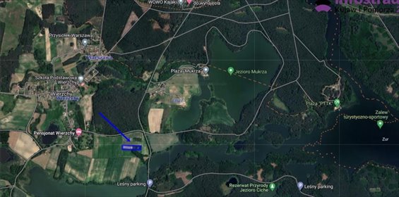 działka na sprzedaż 5000m2 działka Wierzchy