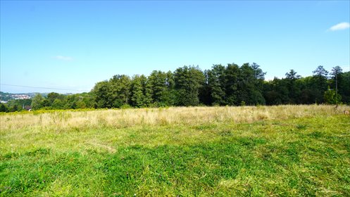 działka na sprzedaż 8900m2 działka Biecz