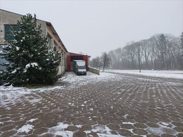 Magazyn na sprzedaż Daszyna 1 000m2 Foto 5