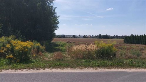 działka na sprzedaż 3500m2 działka Dachowa