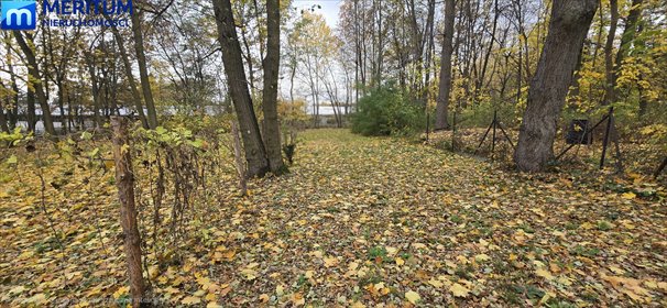 działka na sprzedaż 2250m2 działka Podkowa Leśna