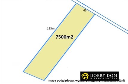 Działka 7 500 m² z potencjałem inwestycyjnym polecam działka Zabłudów