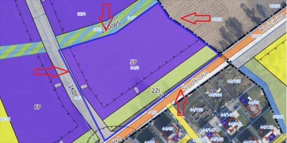 Sprzedam działkę inwestycyjną 12 601 m² w Trzcielinie działka Trzcielin, Trzcielin