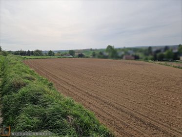 działka na sprzedaż 5700m2 działka Raciborowice