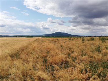 działka na sprzedaż 7500m2 działka Michałowice