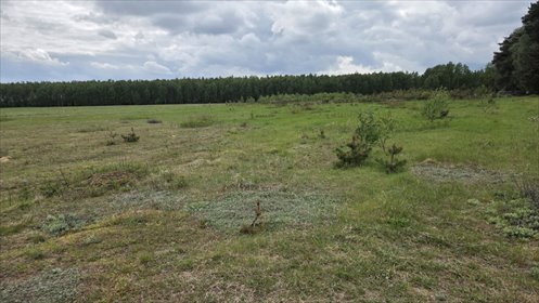 Działka budowlana 1150 m² z warunkami zabudowy, cisza i rekreacja działka Józefowo, Józefowo