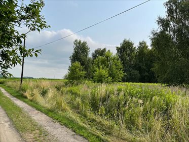 Działka budowlana na sprzedaż Biskupice Oławskie 1 090m2 Foto 3