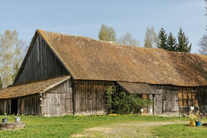 Unikalna działka 27 ha z domem i zabudowaniami w Pakoszach działka Pakosze