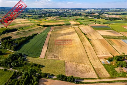 Działka rolna 53 000 m² z bezpośrednim dojazdem działka Grębocin
