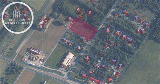 działka na sprzedaż 4494m2 działka Łuszczów Pierwszy