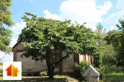 Urokliwy dom z cegły z dużą działką i własnym zagajnikiem dom Gąbin, Dobrzykowska