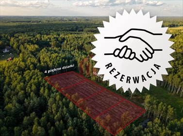 Działki 900 m² w lesie, bezterminowe warunki zabudowy - polecam! działka Czarna Sędziszowska