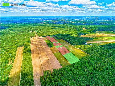 Działka budowlana z lasem, 3548 m², blisko Warszawy działka Mińsk Mazowiecki, OKAZJA! Działka bud. Zfrgmentem prywatnego lasu