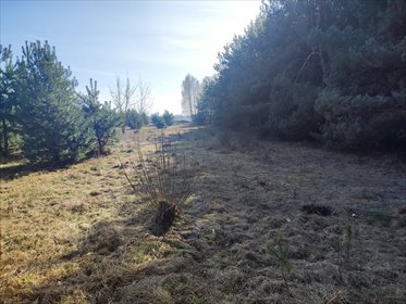 działka na sprzedaż 1100m2 działka Proboszczewice