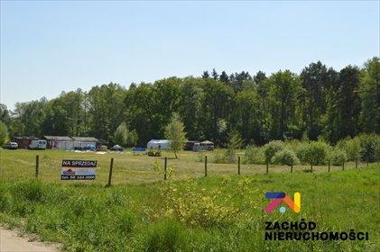Działka 2,15 ha z stawami, rozbudową i lasem w Gubinie działka Sękowice