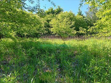 działka na sprzedaż 1972m2 działka Chrzanów Mały