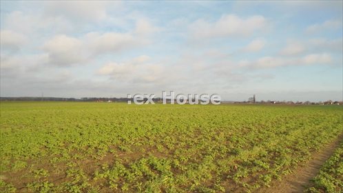 działka na sprzedaż 3000m2 działka Grzędzice