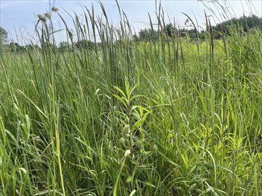 działka na sprzedaż 1540m2 działka Słupno