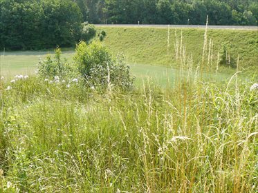 Działka budowlana na sprzedaż Borowo 2 049m2 Foto 3