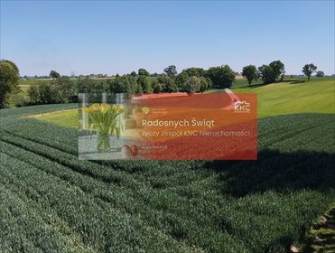 działka na sprzedaż 2500m2 działka Moszenki