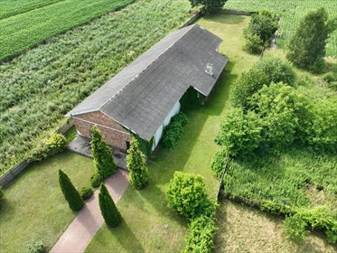 magazyn na sprzedaż 525m2 magazyn Opiesin