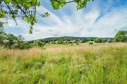 Sprzedam działki budowlane z widokiem na Beskid w Wysowej-Zdroju działka Wysowa-Zdrój