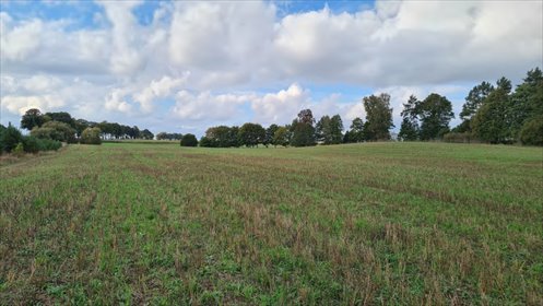 Polecam działki pod zabudowę 4138 m² w Starym Wiecu działka Stary Wiec