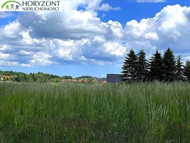 Na sprzedaż działka 1081 m² w malowniczym Małkowie działka Małkowo