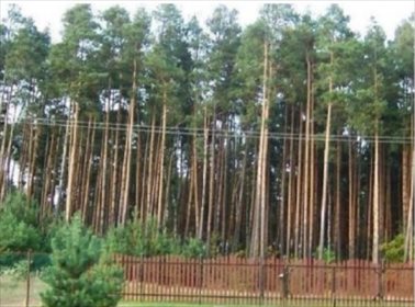 Działka budowlana na sprzedaż Marki 2 800m2 Foto 2